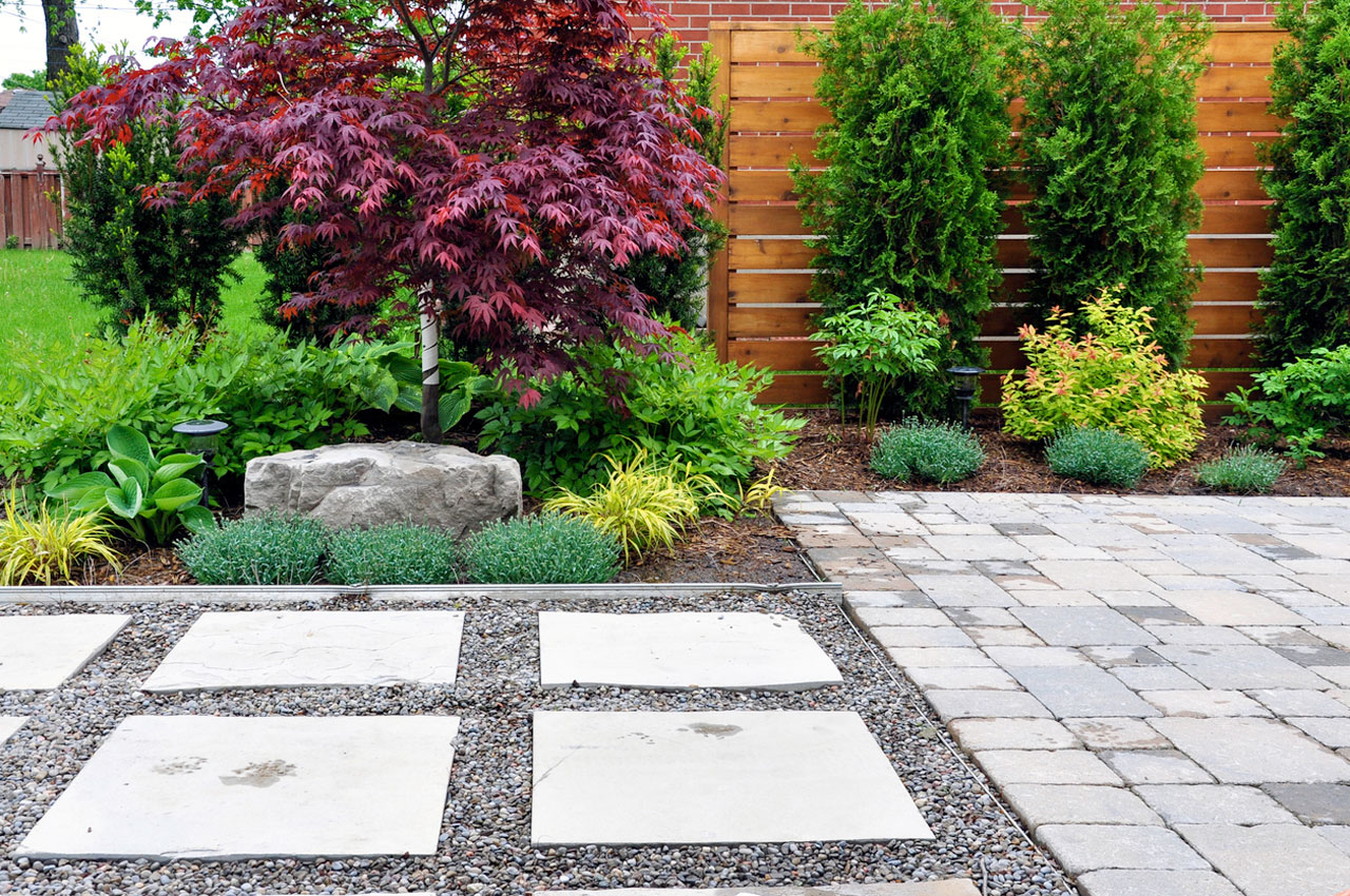 A serene garden featuring a striking red Japanese maple tree, surrounded by lush green plants, yellow ornamental grasses, and a large boulder. The area includes a gravel pathway with stepping stones and a wooden fence, creating a peaceful and stylish outdoor retreat.